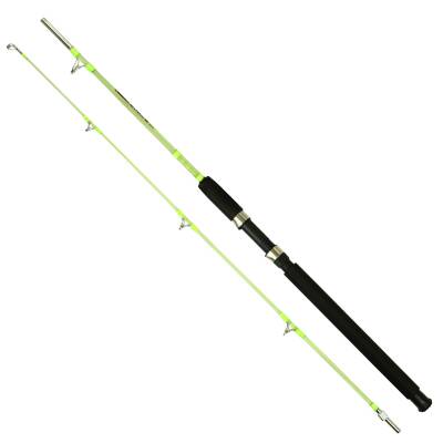 Captain 1433 Master Fisher 2 Parça Dolgu Vidalı Tekne Kamışı 12lbs Atar - CAPTAİN